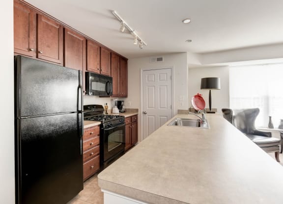 Nice Apartment Rentals in National Landing Arlington VA