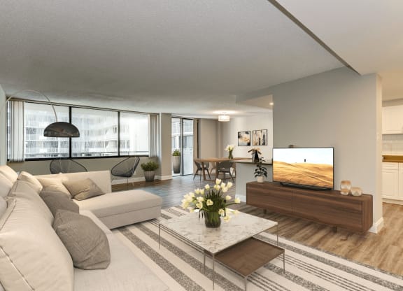 Spacious Apartment Rentals in Crystal City VA
