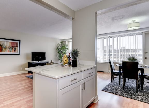 Modern apartment rentals in Crystal City Arlington VA