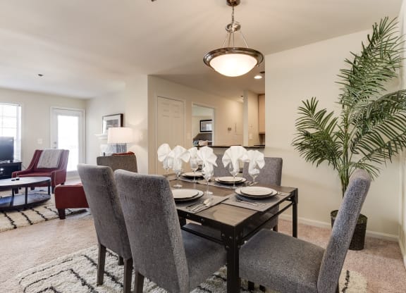 Rosslyn apartments for rent