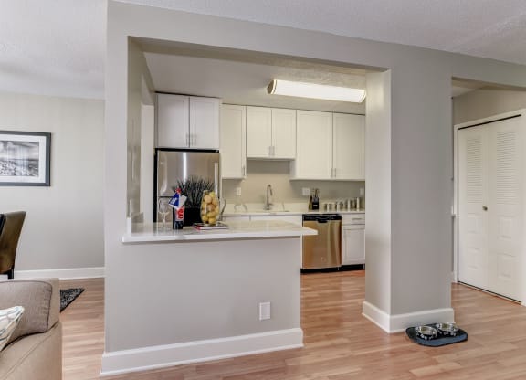 Modern apartment rentals in Crystal City Arlington VA