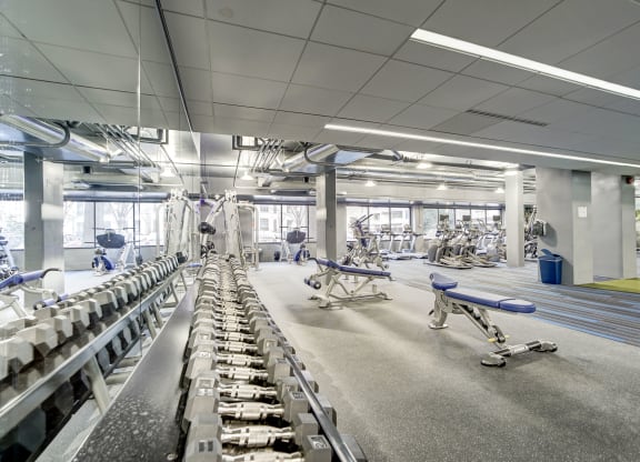 Spacious Apartment Rentals in Crystal City Arlington VA