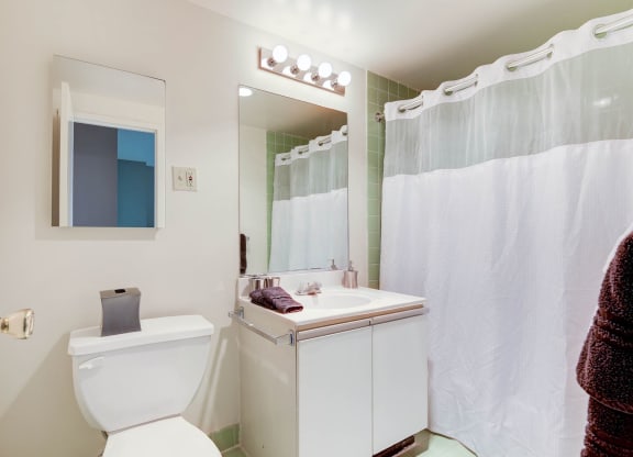 Apartment Rentals in Crystal City
