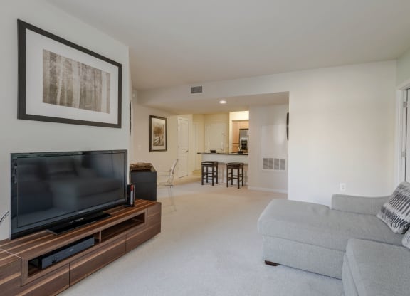 Nice Apartment Rentals in Pentagon City Arlington VA