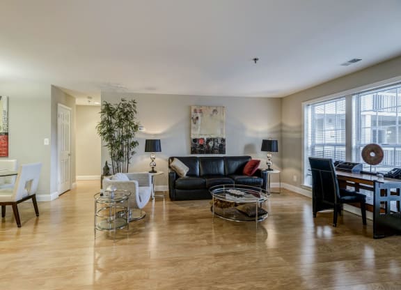 Spacious Apartment Rentals in Rosslyn VA