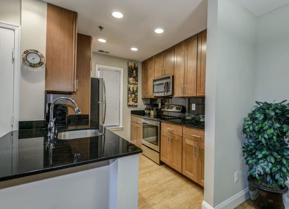 Spacious Apartment Rentals in Rosslyn VA