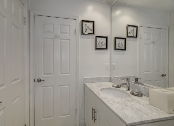 Modern Apartment Rentals in Rosslyn VA