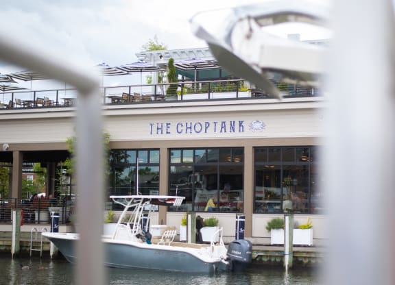 selection of fresh, locally caught seafood, The Choptank