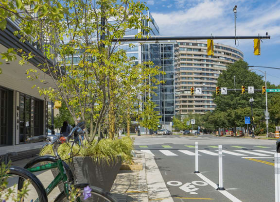 Apartment rentals in Crystal City