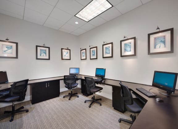 Spacious Apartment Rentals in National Landing Arlington VA