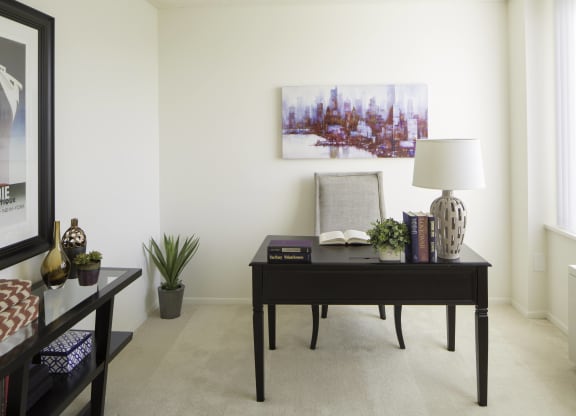 Renovated Apartment Rentals in Crystal City Arlington VA