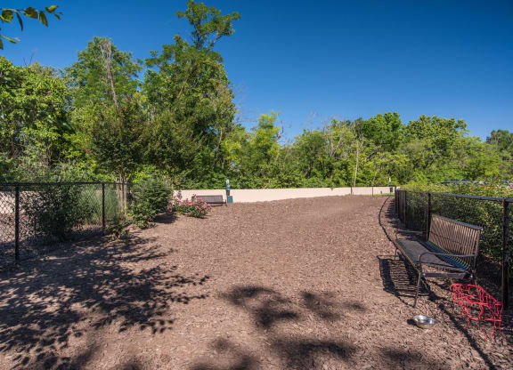 Spacious Apartment Rentals in National Landing Arlington VA