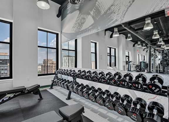 A gym with a row of dumbbells and a bench.