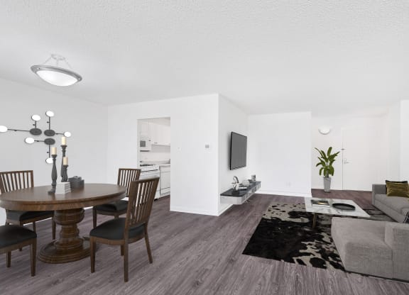 Apartments for rent in Crystal City
