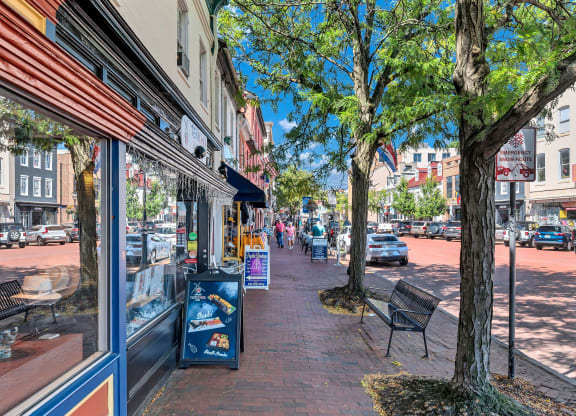 a city street with shops and trees on the sidewalk