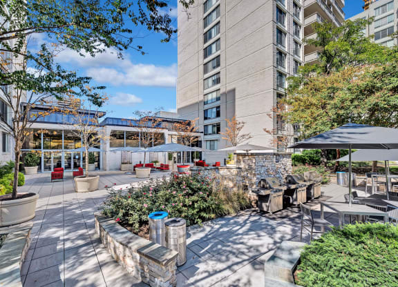 Apartments for rent in Crystal City