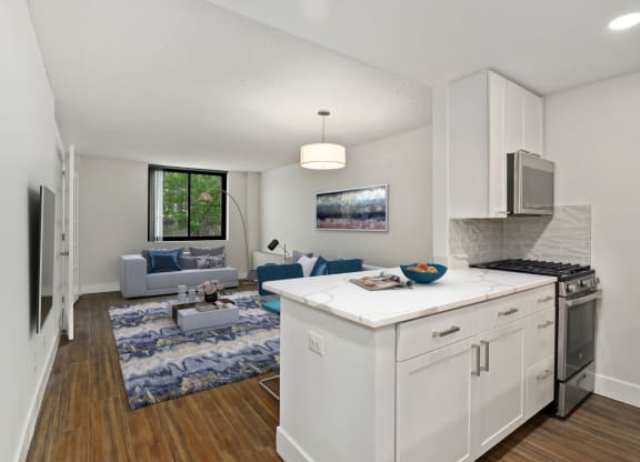 Best Apartment Rentals in Crystal City VA