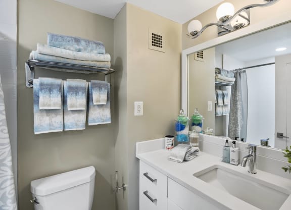 Sleek Bathroom Finishes Including Quartz Countertops and Oversized Vanities at Crystal Square, Arlington, VA