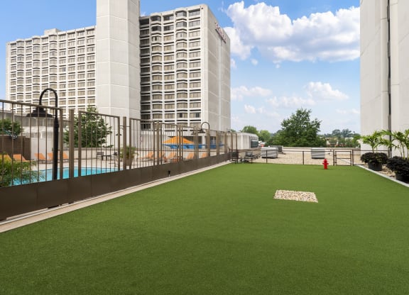 Apartment Rentals in Crystal City VA