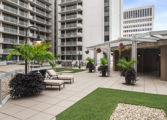 Spacious Apartment Rentals in Crystal City VA