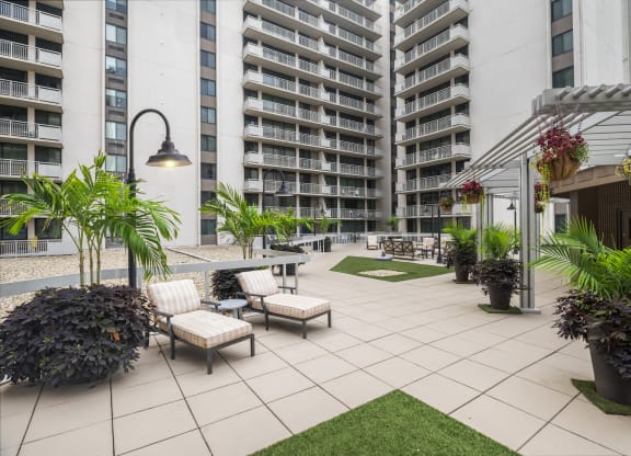 Great Apartment Rentals in Crystal City VA