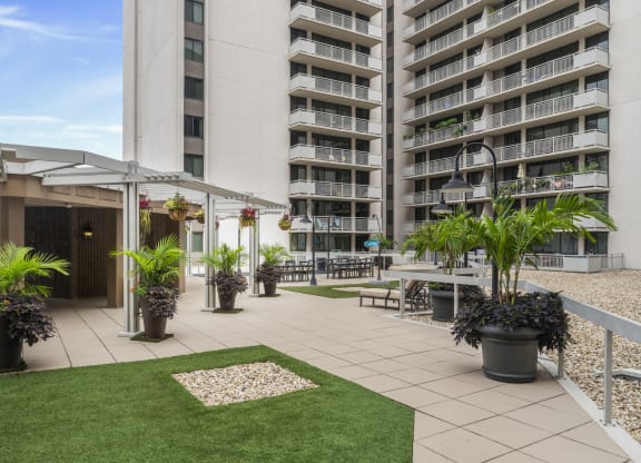 Spacious Apartment Rentals in Crystal City VA