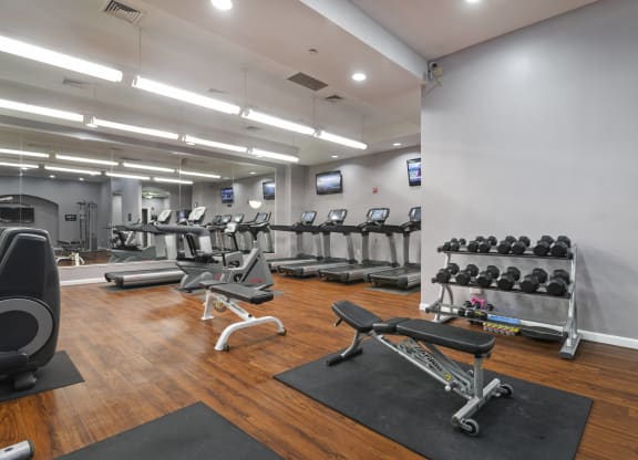Nice Apartment Rentals in Crystal City VA