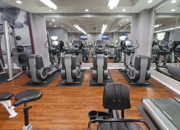 Luxury Apartment Rentals in Crystal City VA