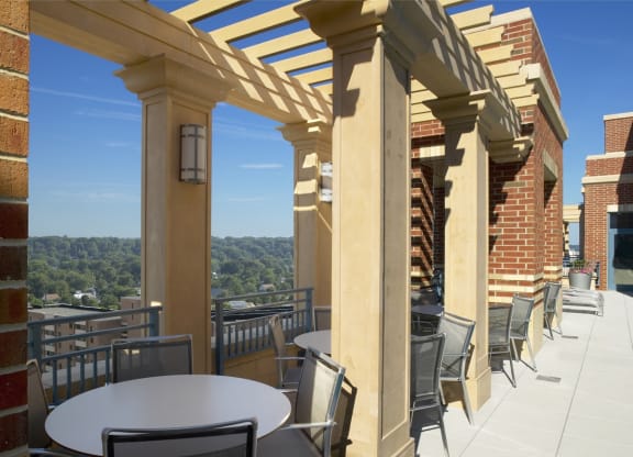 Spacious Apartment Rentals in Pentagon City Arlington VA