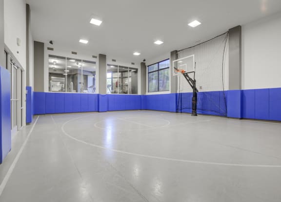 Indoor Multi-Purpose Court with Basketball Goal, Volleyball Net Capabilities and Personal Sound Controls