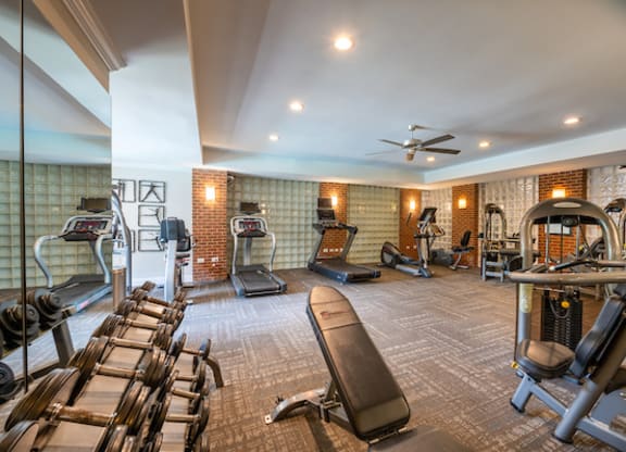 a gym with a lot of exercise equipment
