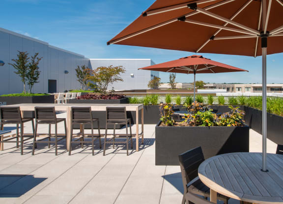 Renovated apartment rentals in Crystal City Arlington VA