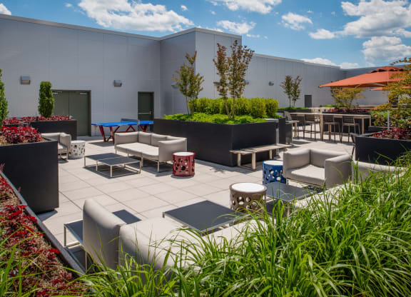 Modern apartment rentals in Crystal City Arlington VA