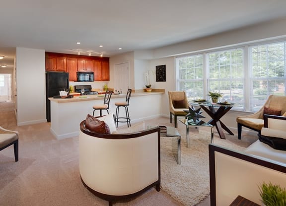 Spacious Apartment Rentals in National Landing Arlington VA