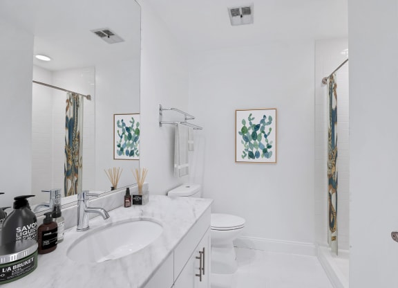 Apartments for rent in Rosslyn