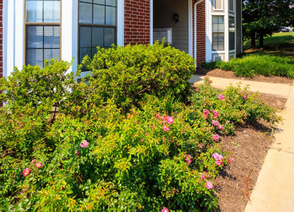 Great Apartment Rentals Near Fort Belvoir VA