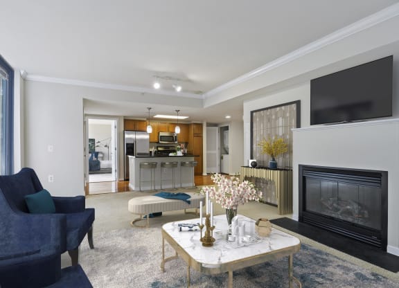 Nice Apartment Rentals in Pentagon City Arlington VA