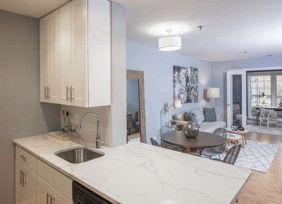 Modern Apartment Rentals in Rosslyn VA