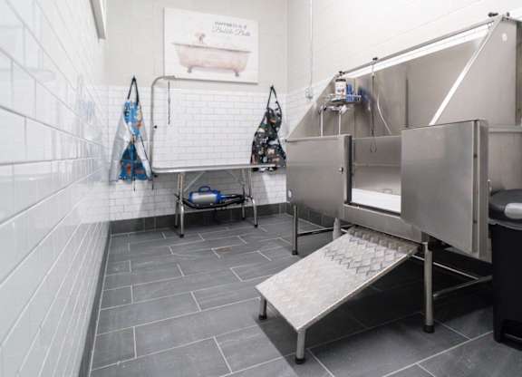 A clean, empty public bathroom with a trash can and a sink.