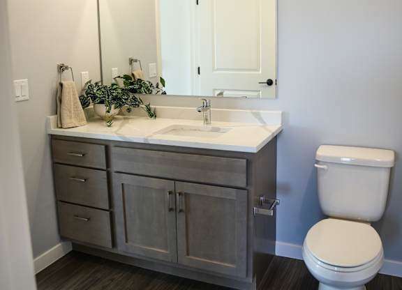 a bathroom with gray cabinets and a white toilet