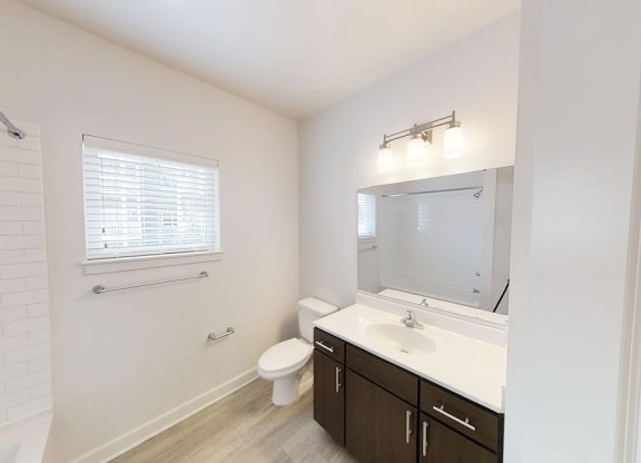 a bathroom with a sink and a toilet and a mirror