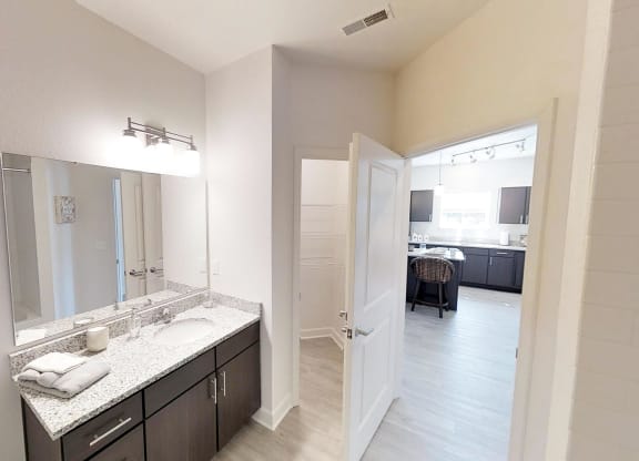 a bathroom with a sink and a mirror