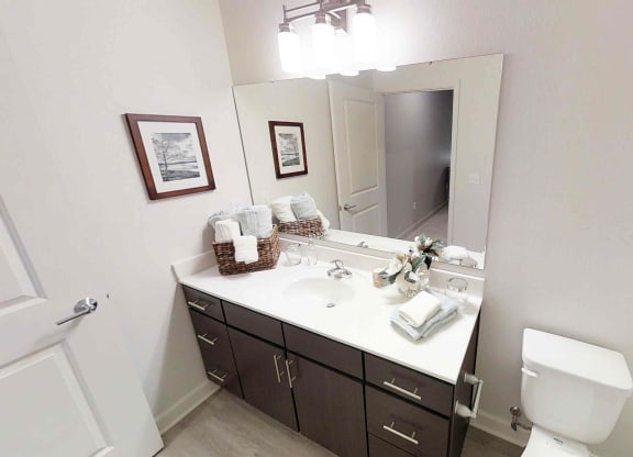 a bathroom with a sink and a toilet and a mirror