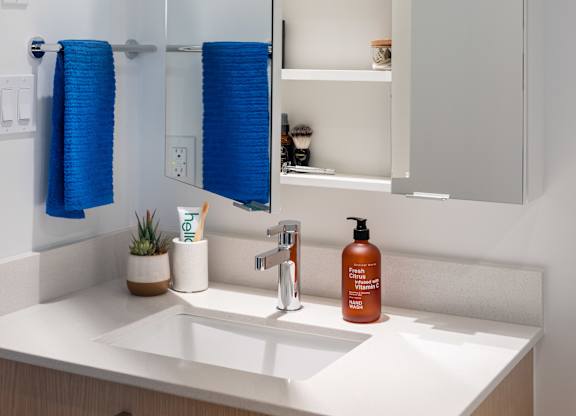 A bathroom with a white sink and a mirror with a shelf above it.
