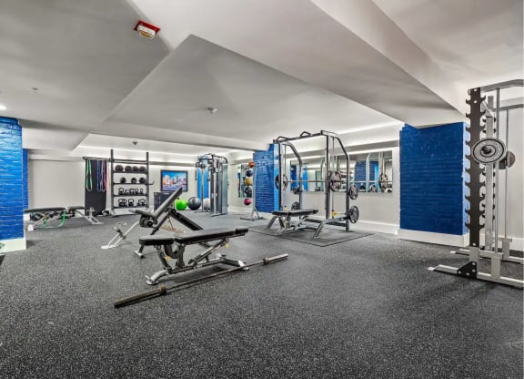 the gym at the condos is equipped with weights and other exercise equipment