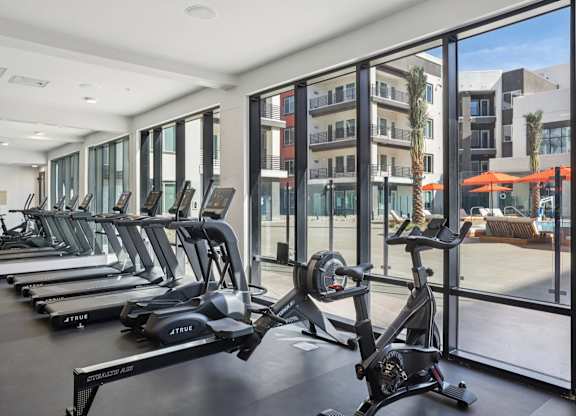 A gym with treadmills and a view of the outside.