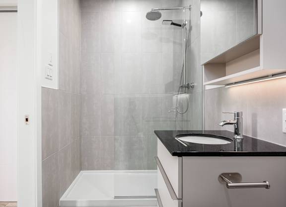 A modern bathroom with a walk-in shower and a sink.