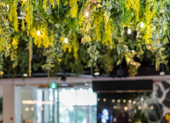 a restaurant with tables and chairs and plants