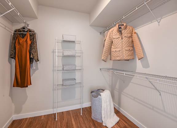 Walk-In Closet at Boca Vue Apartments in  Boca Raton FL
