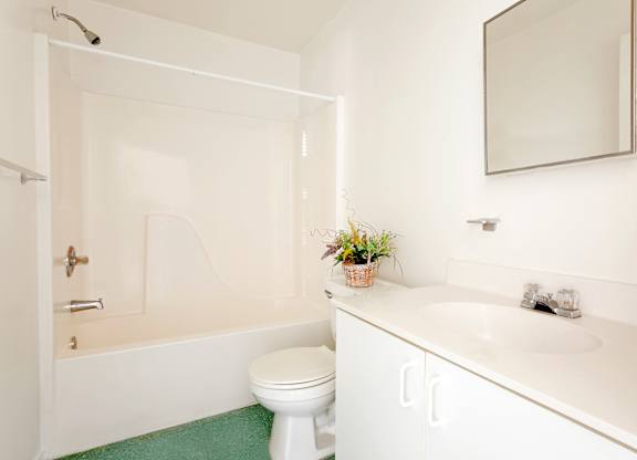 Bathroom at Mira Verde Affordable Apartments in LaBelle FL